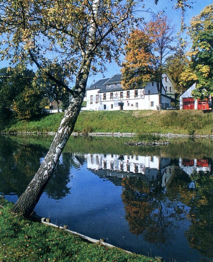 Hotel Gasthof Zum Walfisch Klingenthal Bagian luar foto